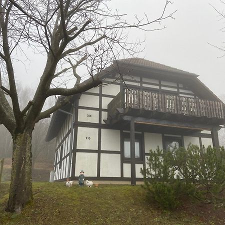 Ferienwohnung Lix Direkt Am Waldrand Frankenau Kültér fotó
