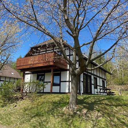 Ferienwohnung Lix Direkt Am Waldrand Frankenau Kültér fotó